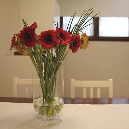 B&B Casa Olla 사르다라 외부 사진